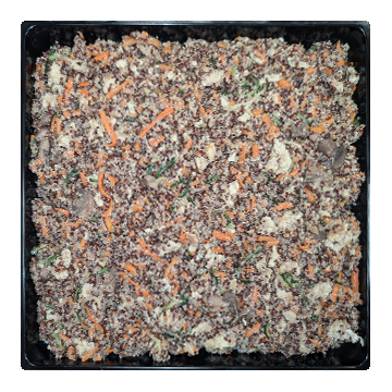 ASIAN QUINOA  (tray)